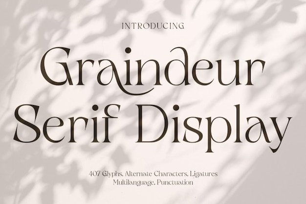 Graindeur Serif Display