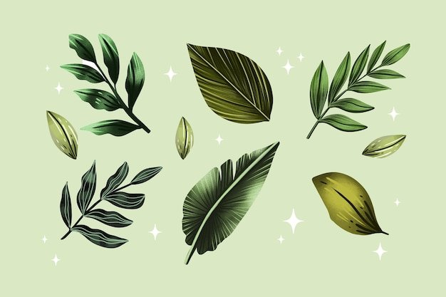 Watercolor leaves design set